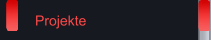 Projekte